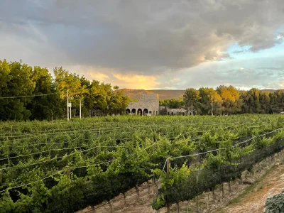 RGMX Viñedo Buena Fe
