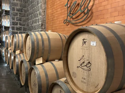 Viñedos Don Leo